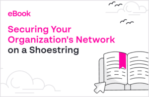 Securing Your Organization's N