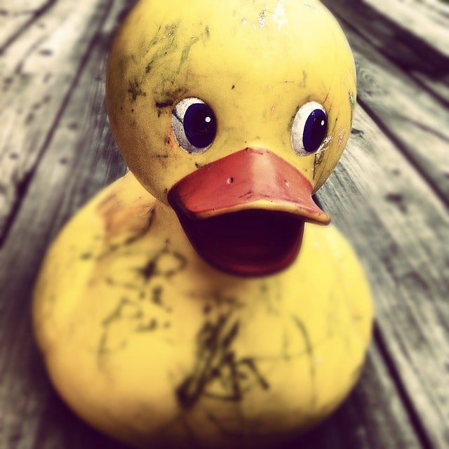 A yellow rubber duck Description automatically generated with medium confidence
