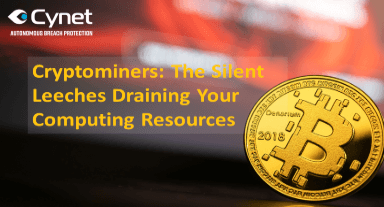 Cryptominers: The Silent Leeches Draining Your Computing Resources image