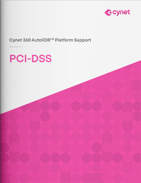 PCI-DSS icon