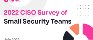 Seismic Shifts: Surprising Insights from 2022 CISO Survey of Small Security Teams image