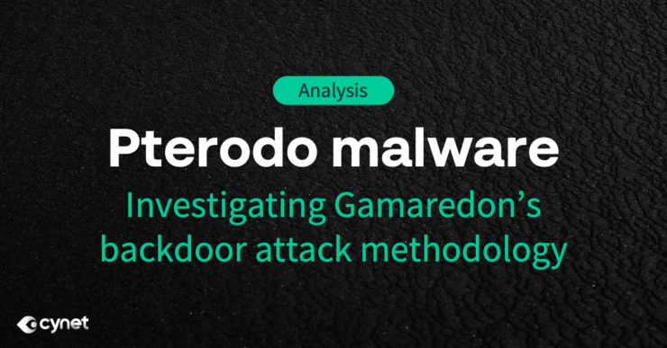 Pterodo malware analysis image
