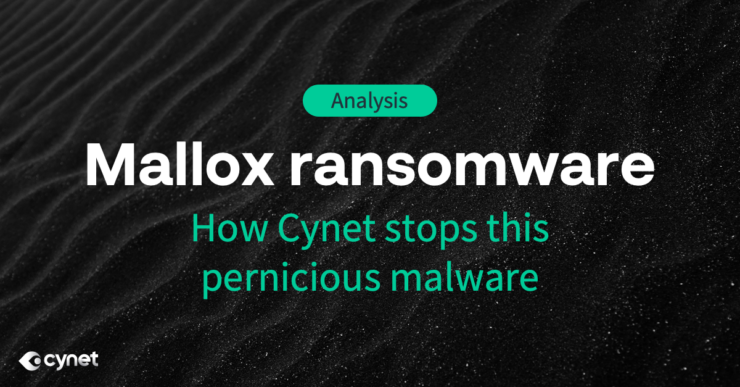 Mallox Ransomware Analysis image