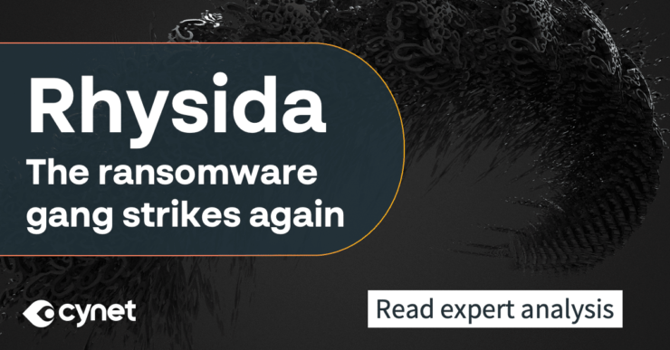 Rhysida: the ransomware gang strikes again image