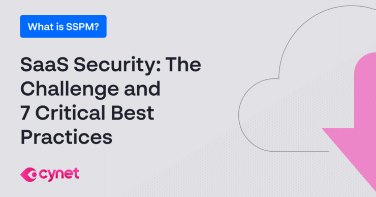 SaaS Security: The Challenge and 7 Critical Best Practices image